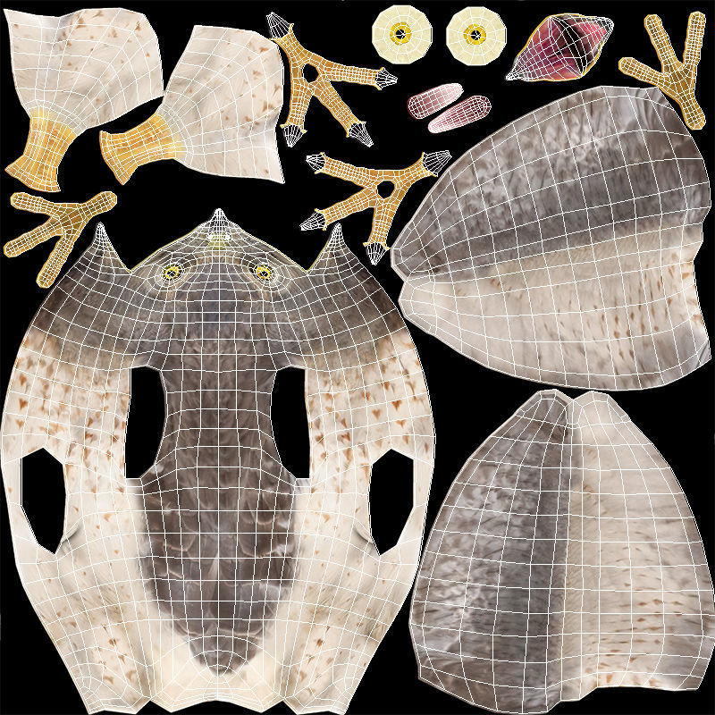 Hen Harrier Low-poly 3D model_14