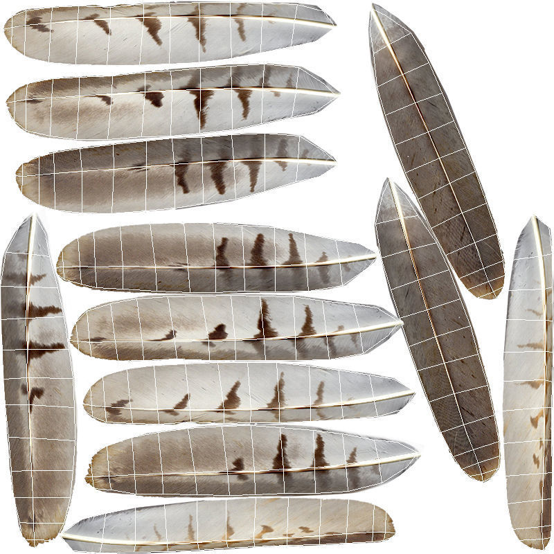 Hen Harrier Low-poly 3D model_12