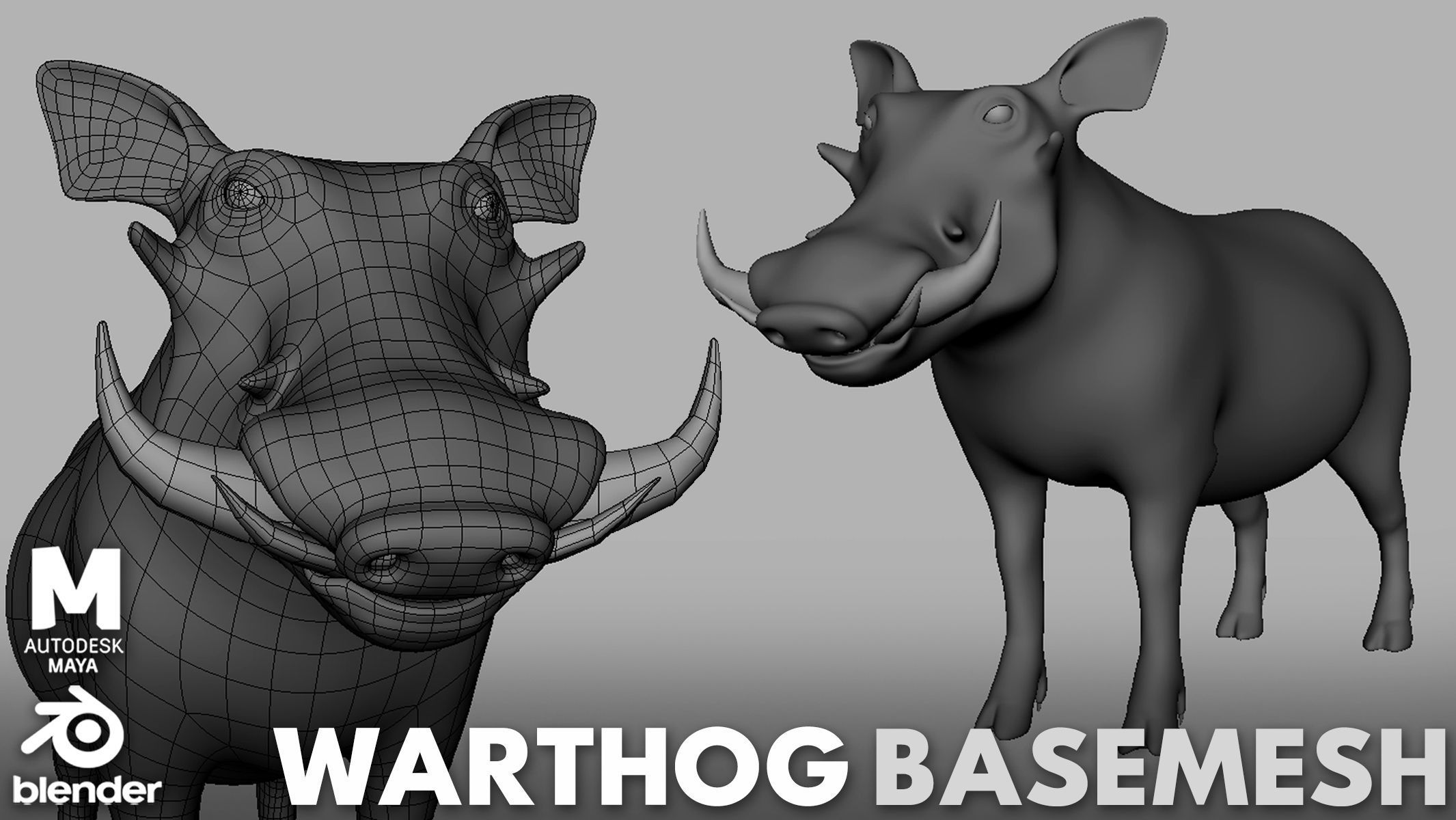 16 Wild Animals Collection Low-poly 3D model_16