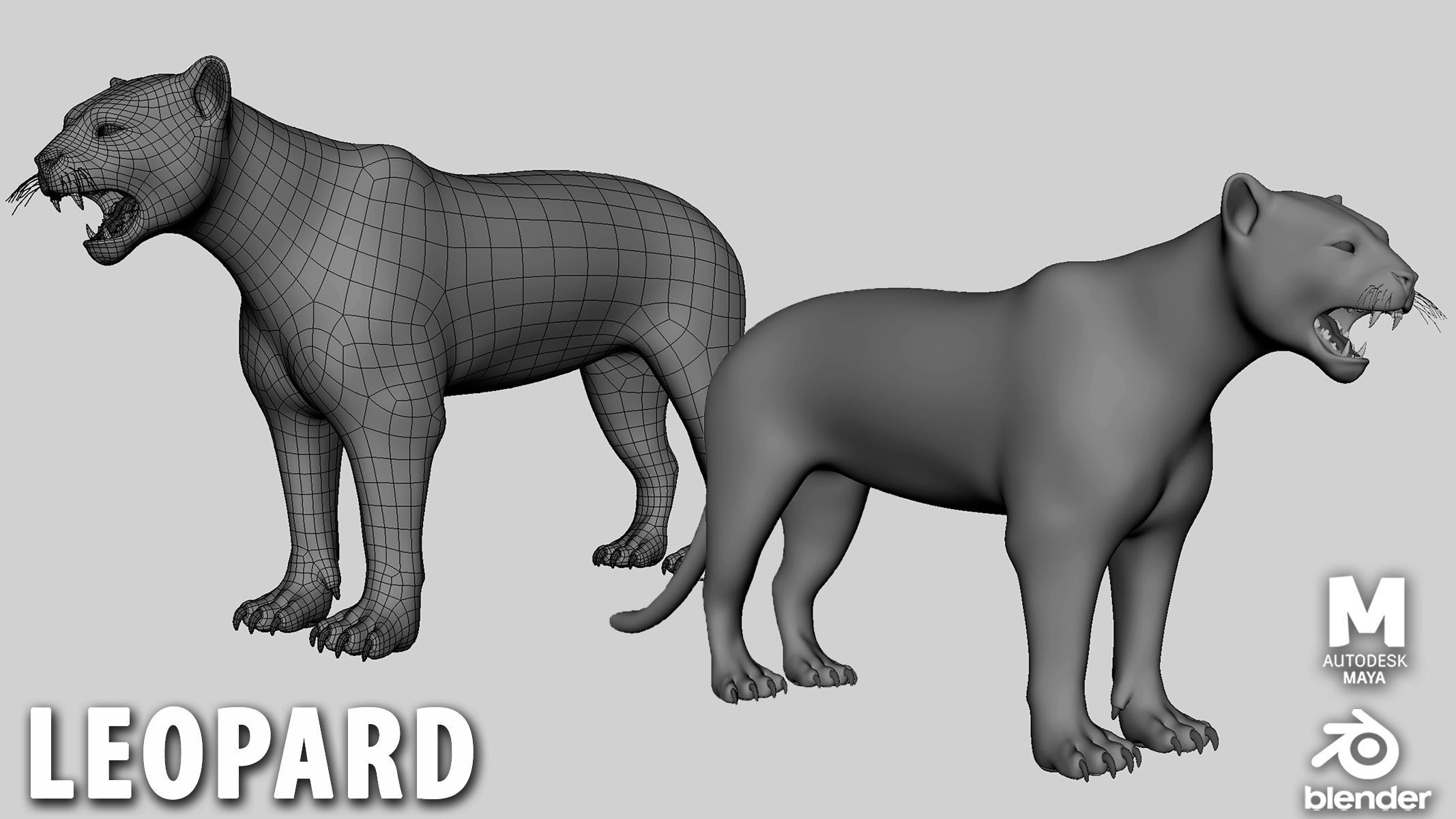 16 Wild Animals Collection Low-poly 3D model_17
