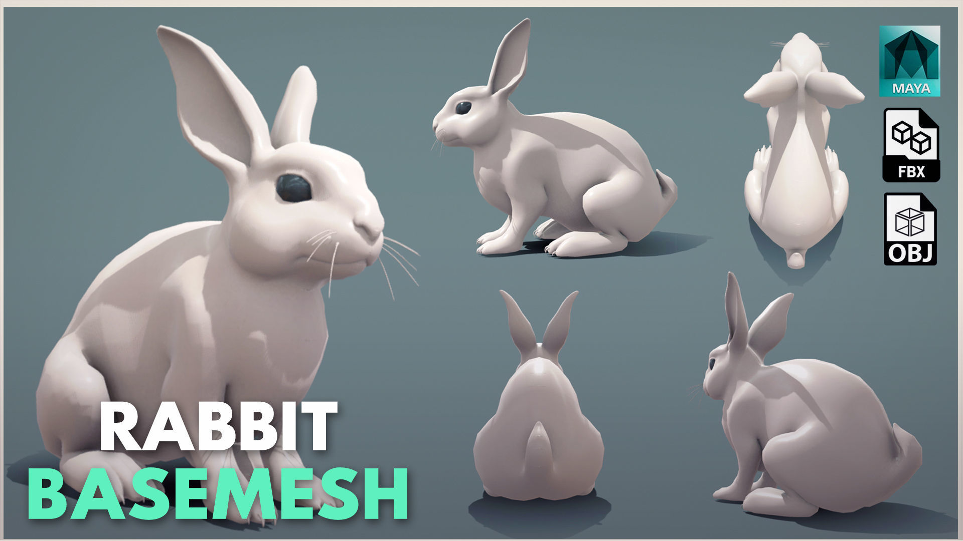 19 Domestic Animal Collection Low-poly 3D model_18