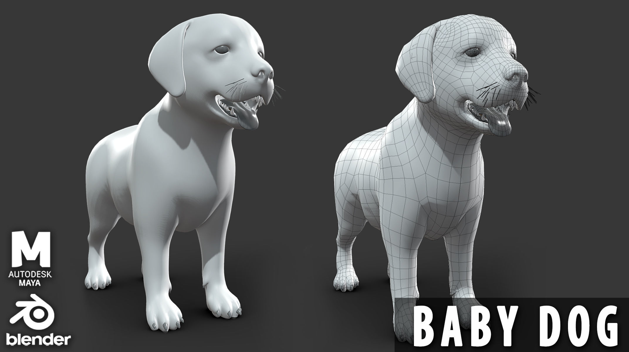 19 Domestic Animal Collection Low-poly 3D model_11