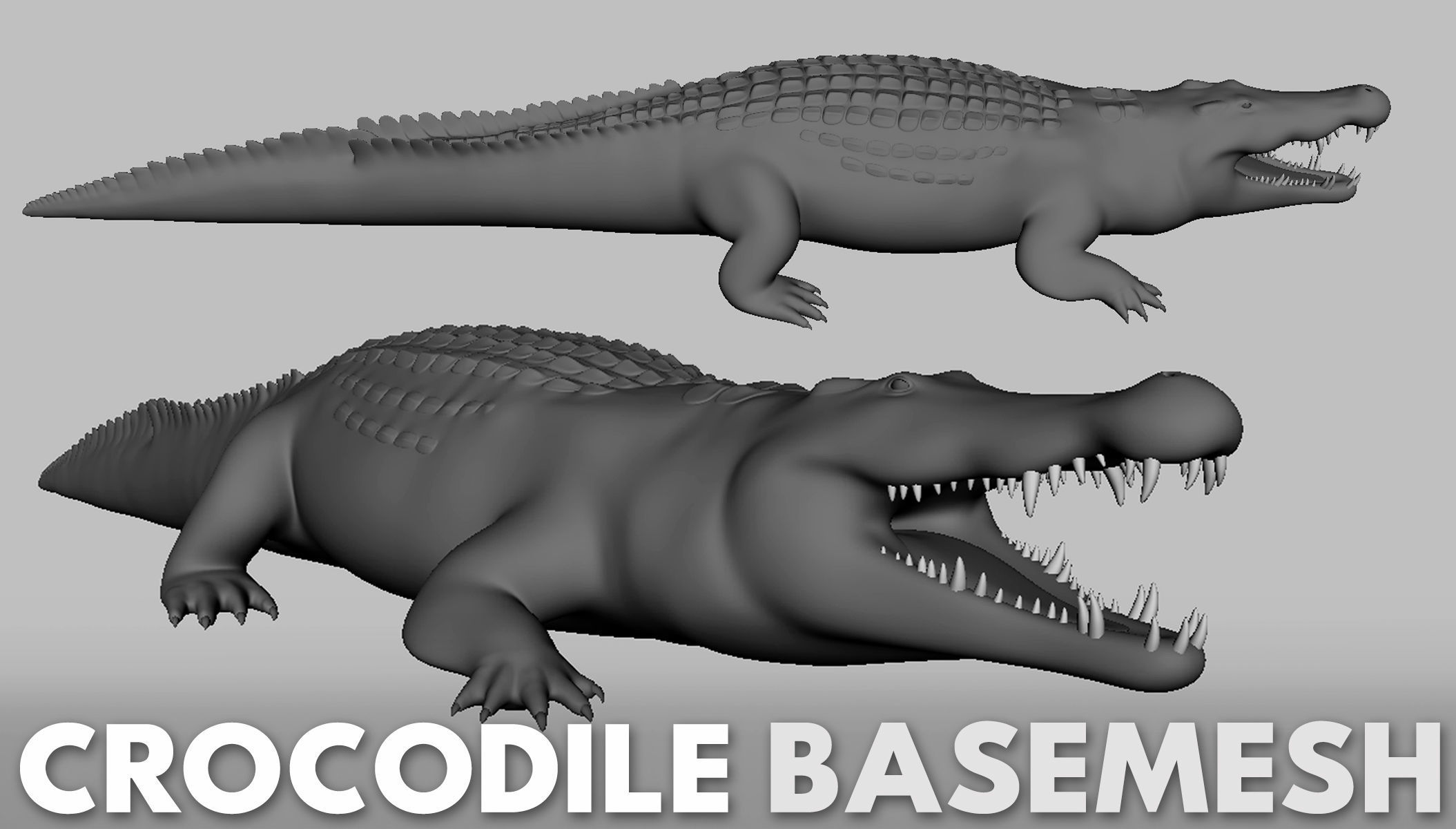 100 Ultimate Basemesh Collection  _56