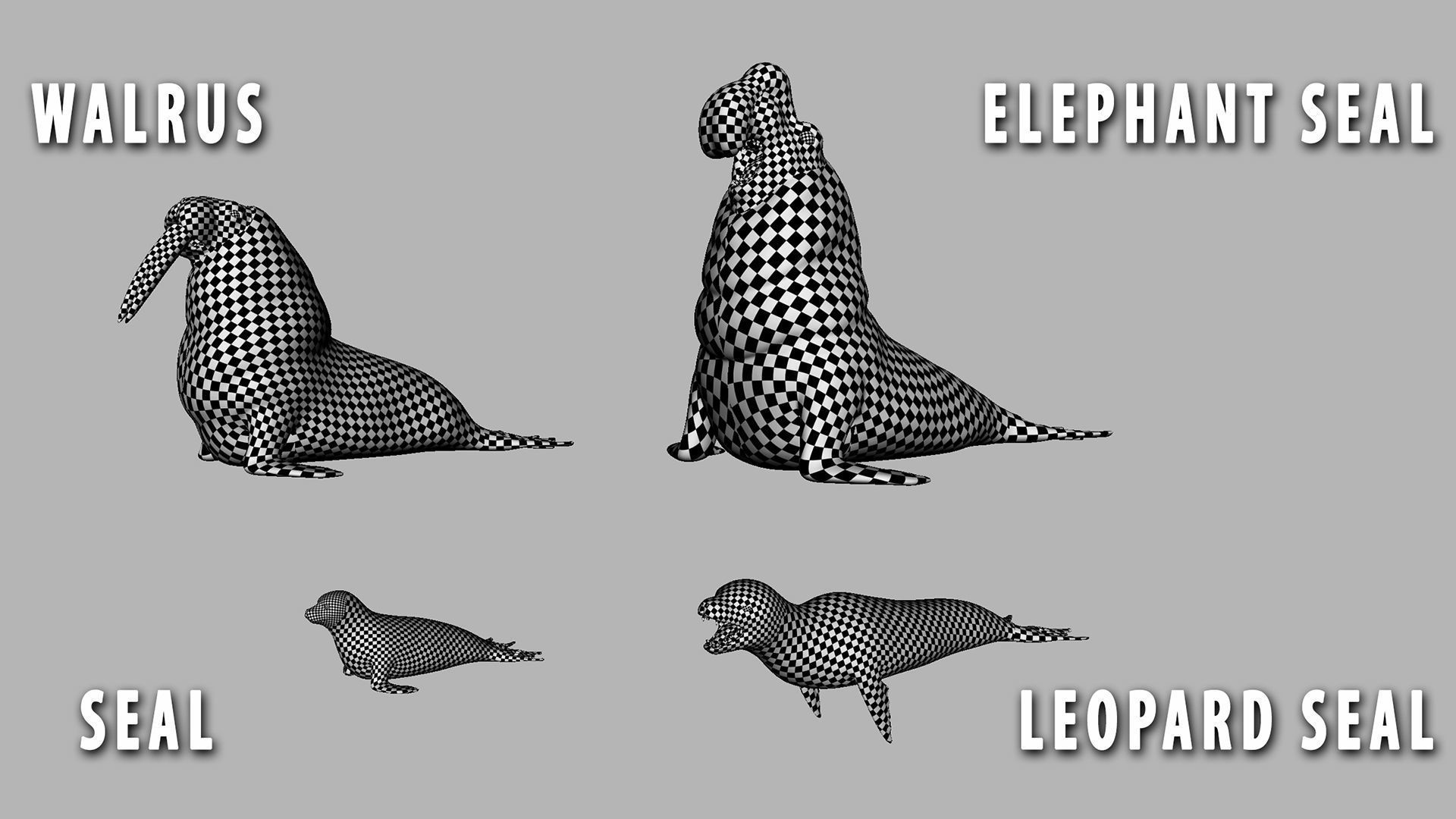 100 Ultimate Basemesh Collection  _100