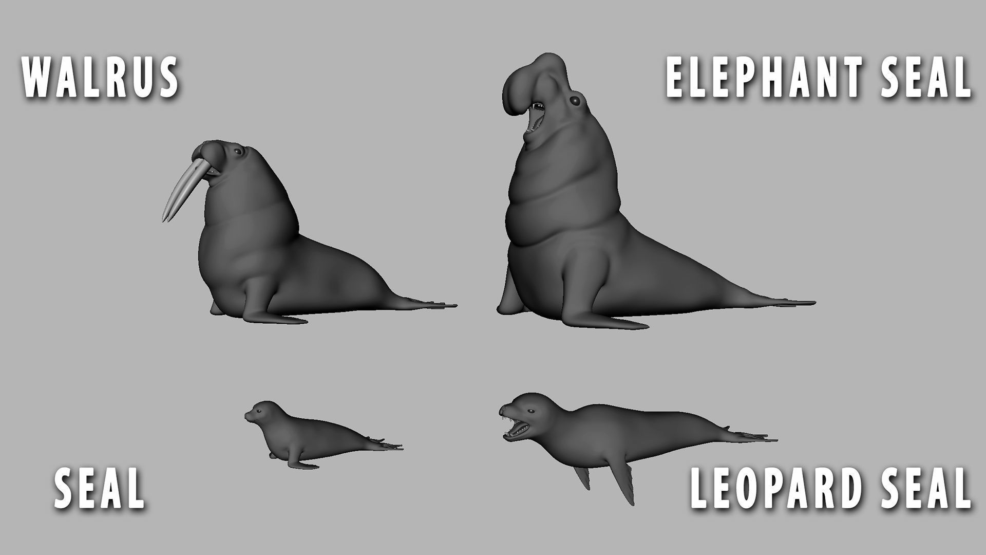 100 Ultimate Basemesh Collection  _96