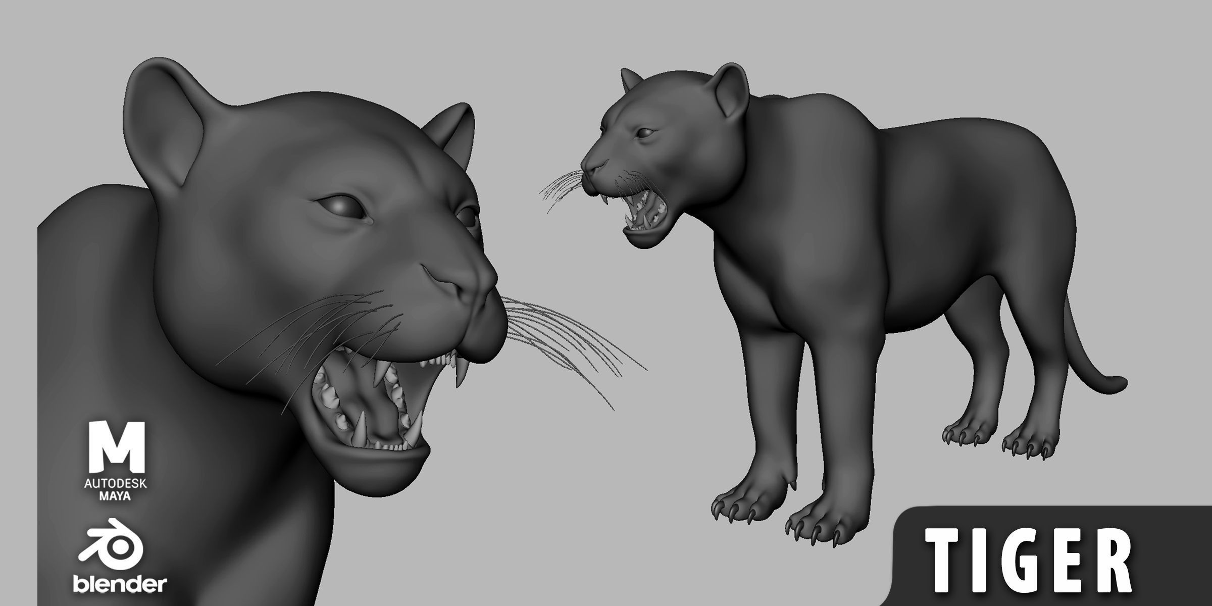 100 Ultimate Basemesh Collection  _14