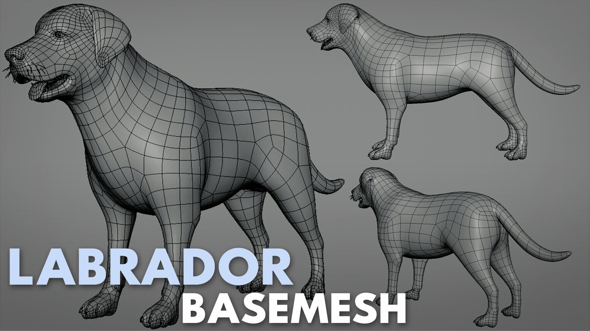 100 Ultimate Basemesh Collection  _80