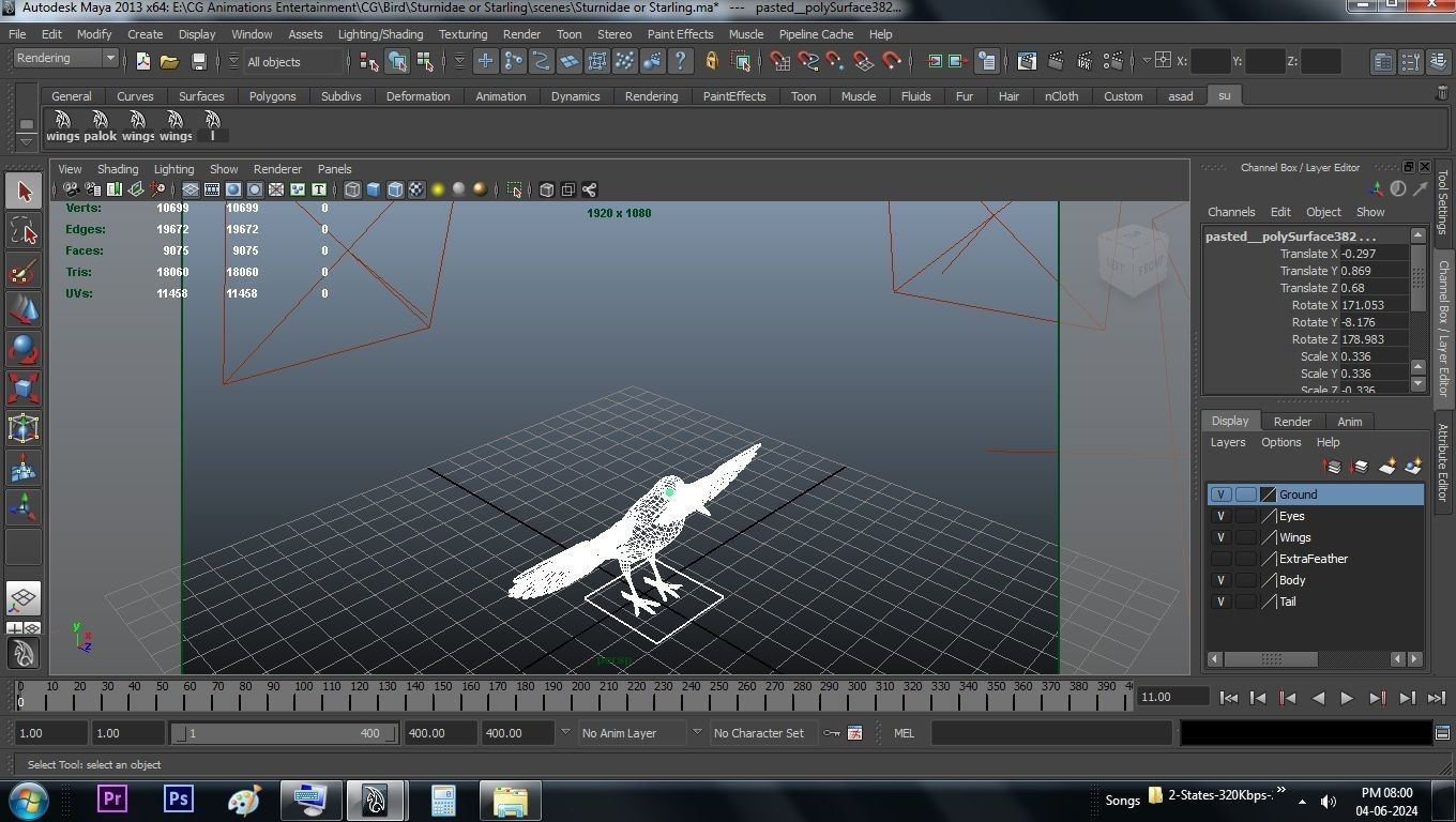 Sturnidae or Starling 3D model_38