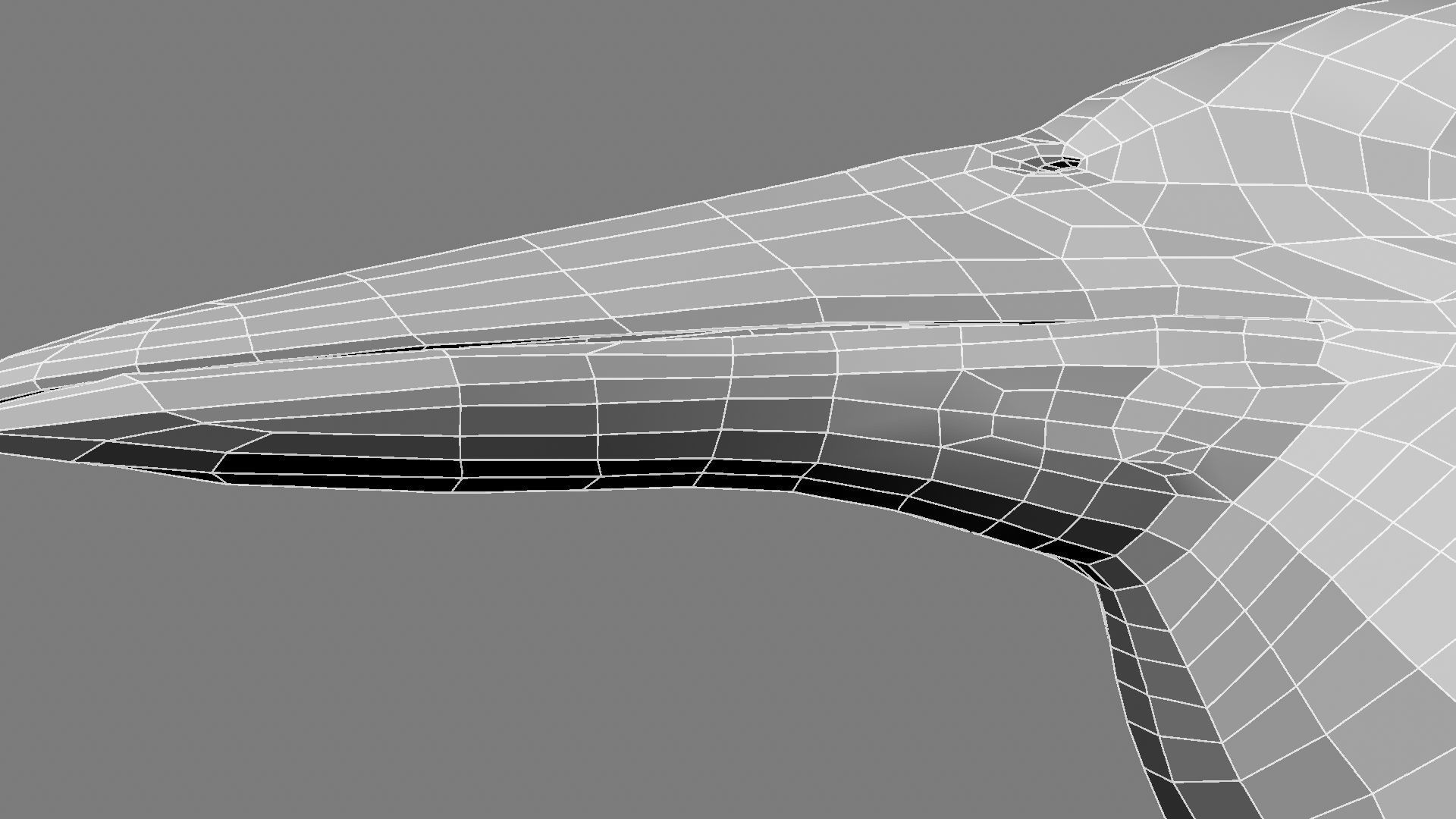 Sturnidae or Starling 3D model_35