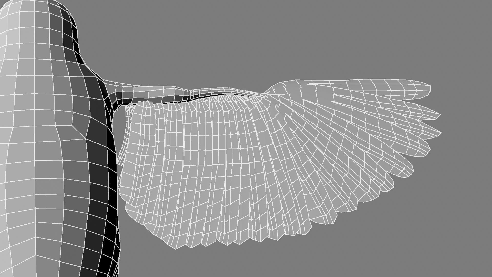 Sturnidae or Starling 3D model_21