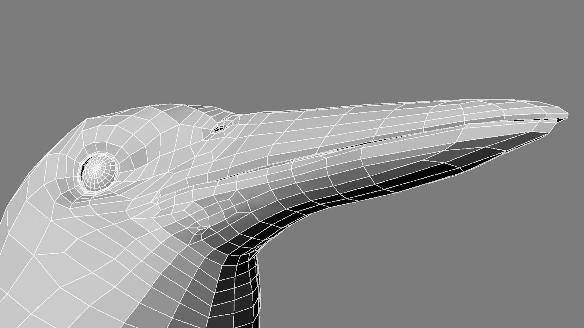 Sturnidae or Starling 3D model_33