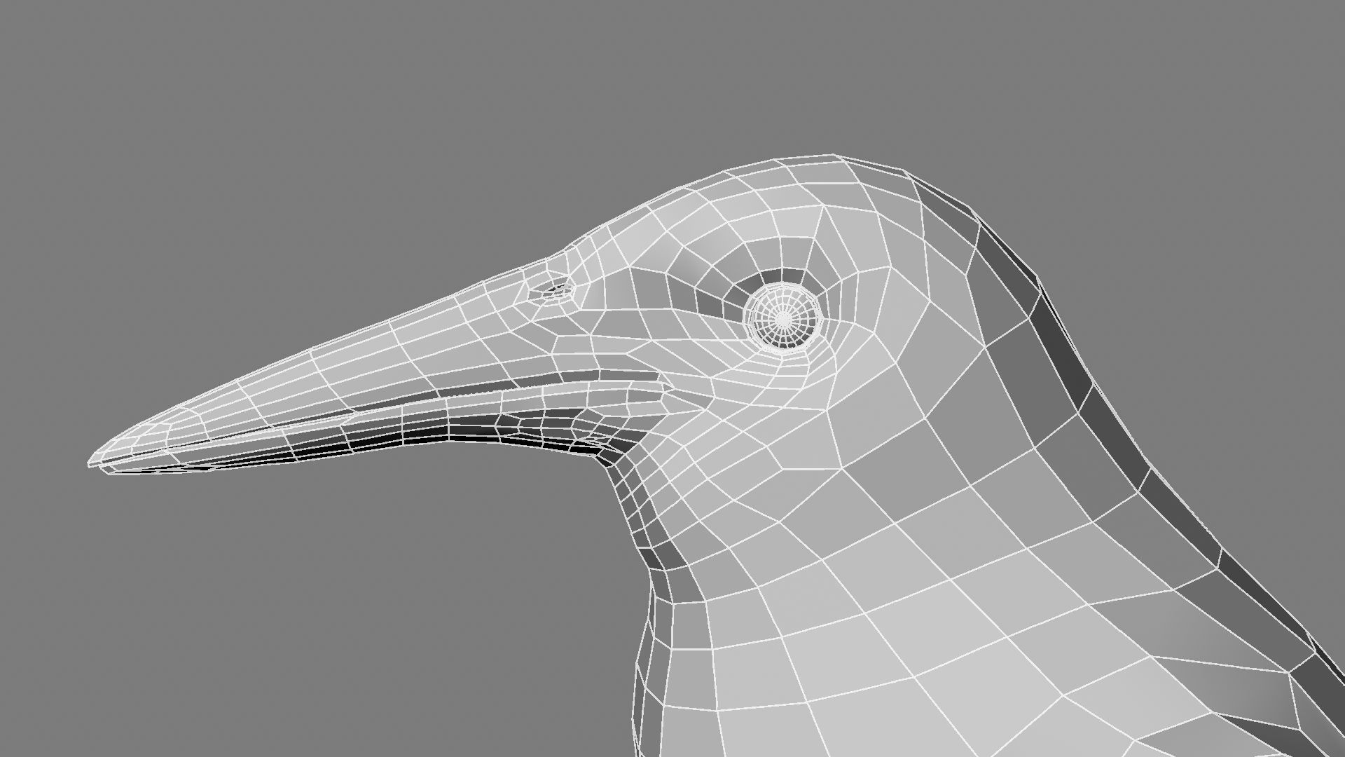 Sturnidae or Starling 3D model_31