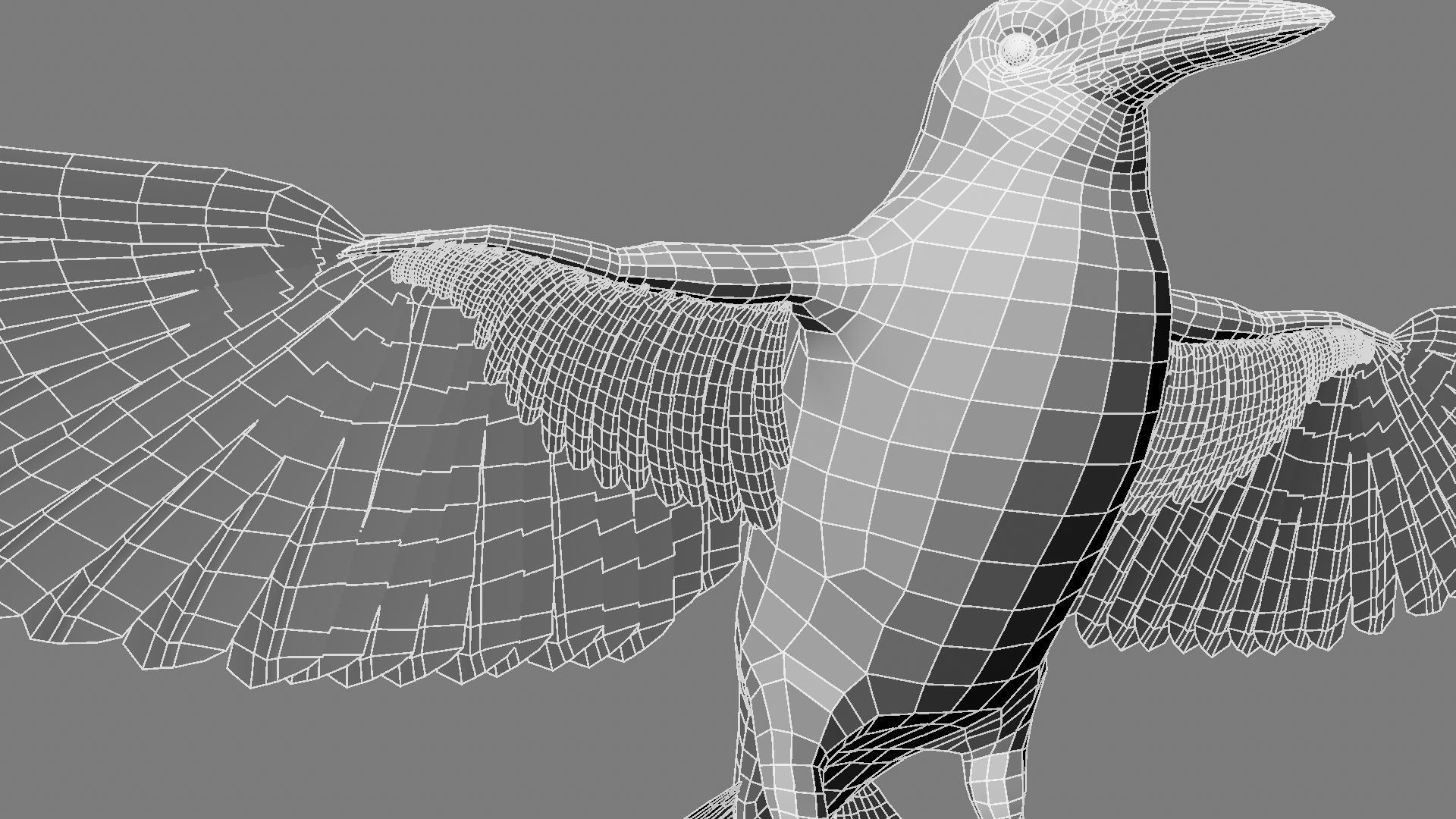 Sturnidae or Starling 3D model_24