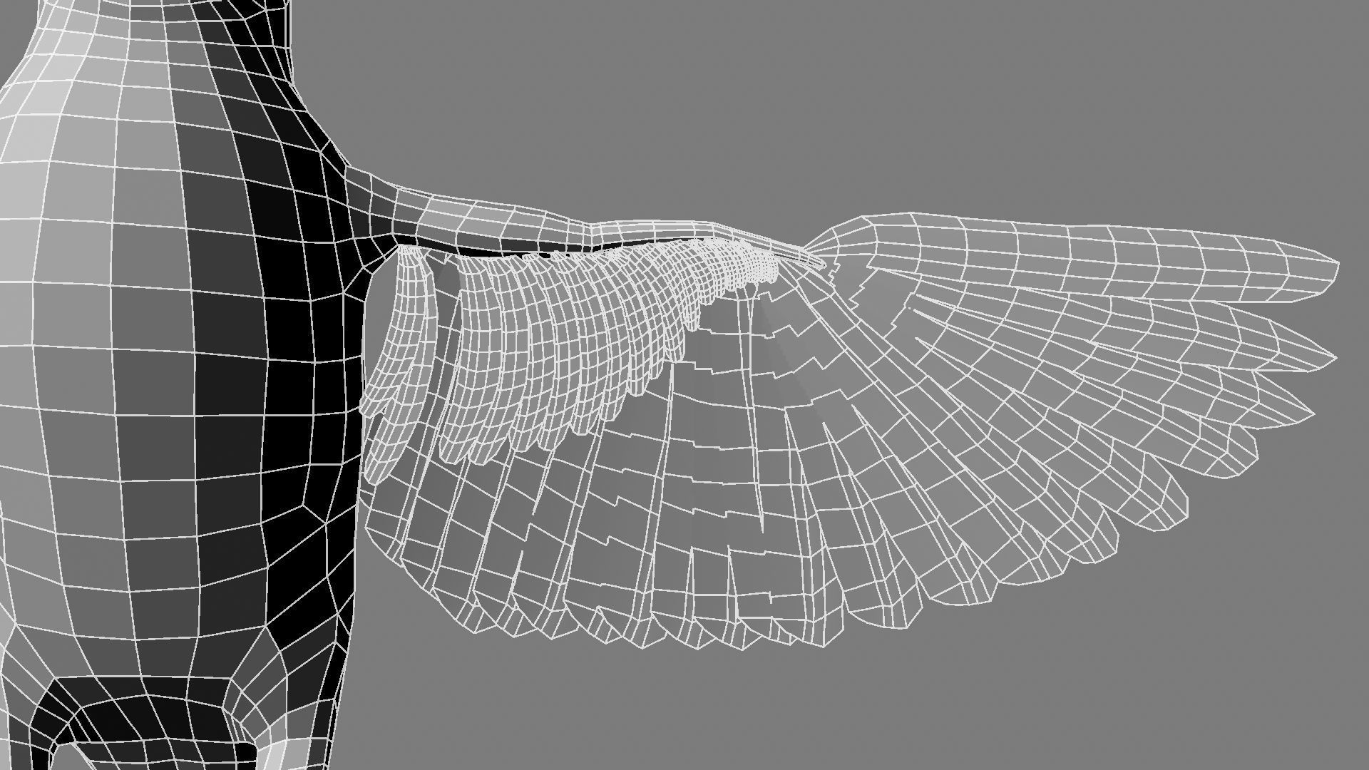 Sturnidae or Starling 3D model_25
