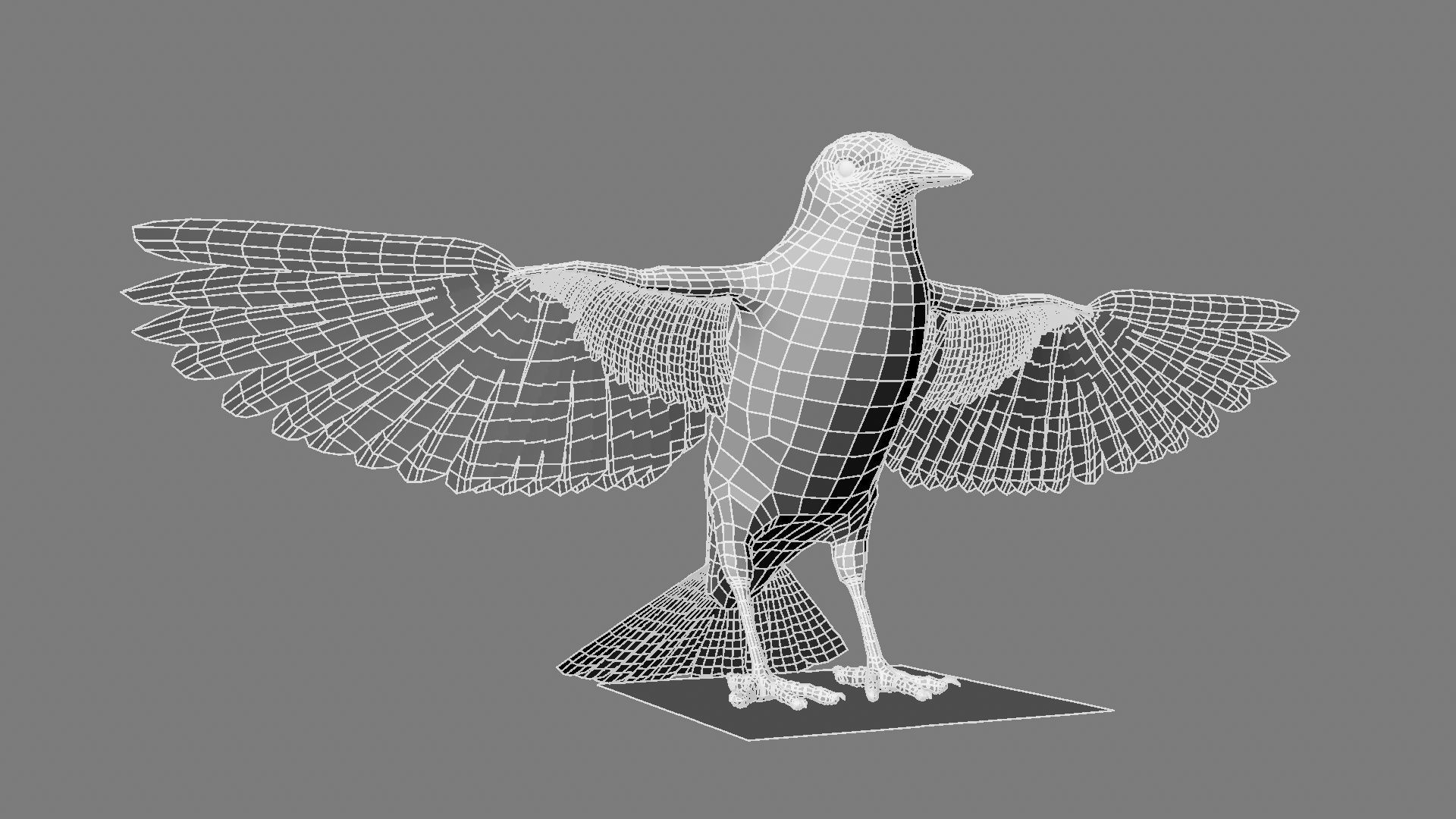 Sturnidae or Starling 3D model_16