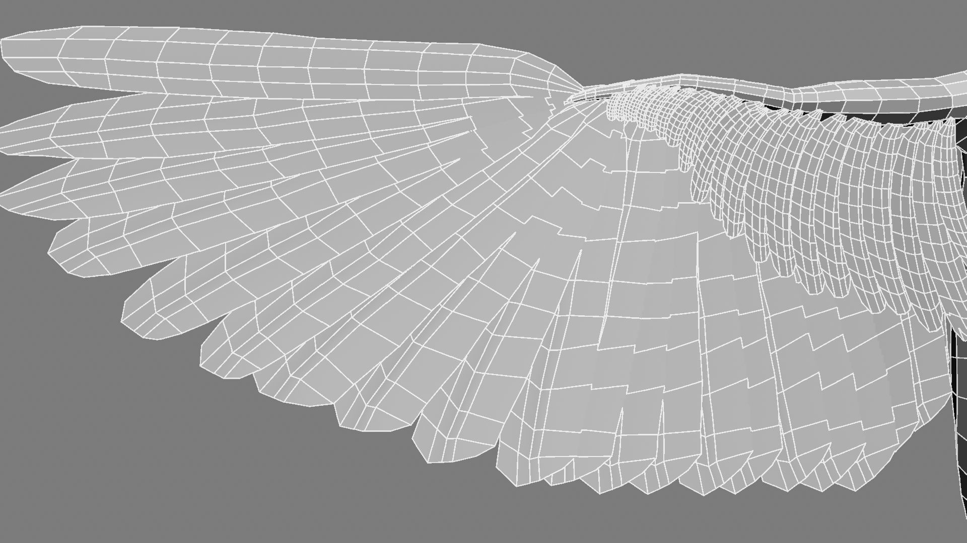 Sturnidae or Starling 3D model_29