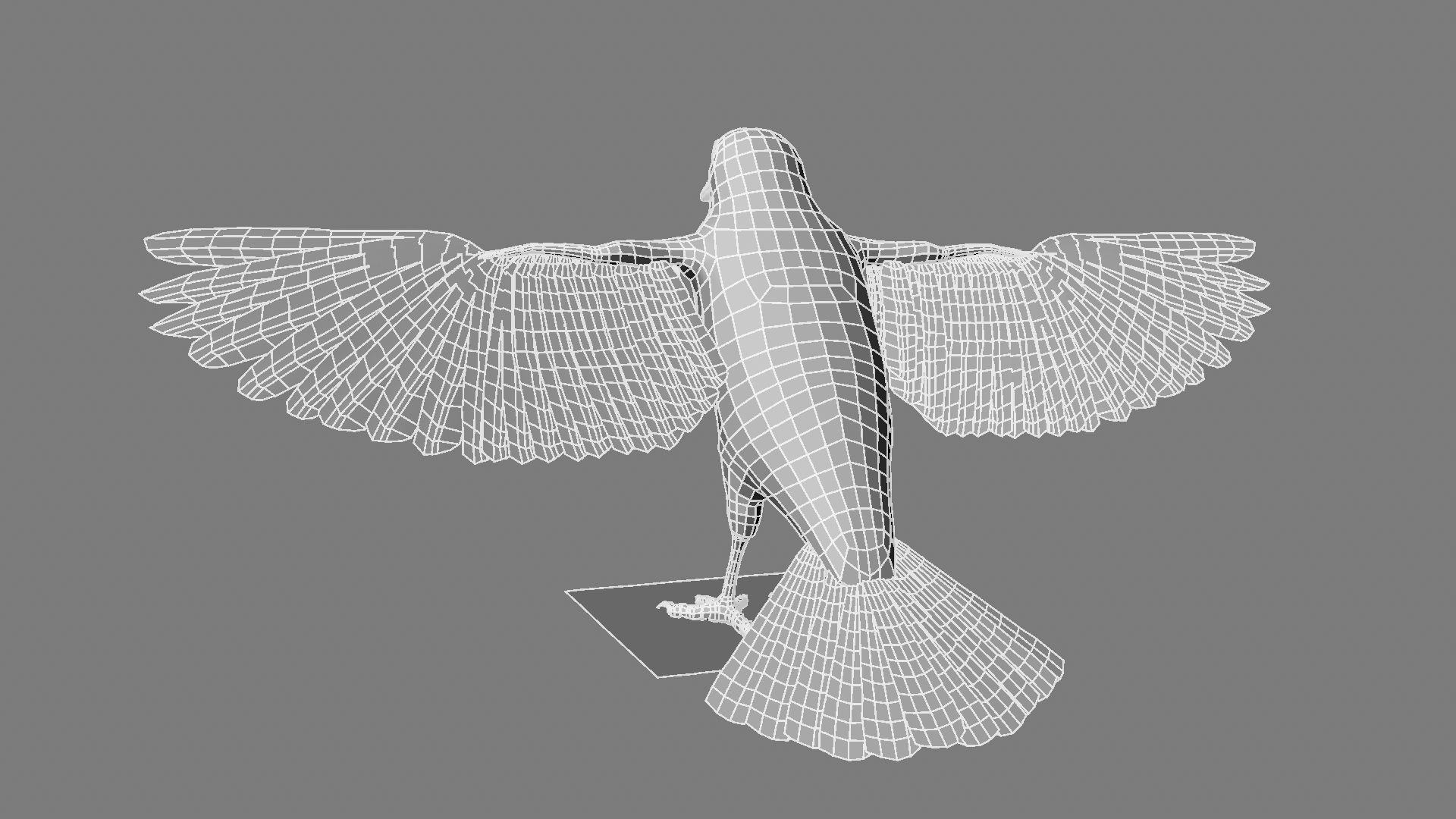 Sturnidae or Starling 3D model_18