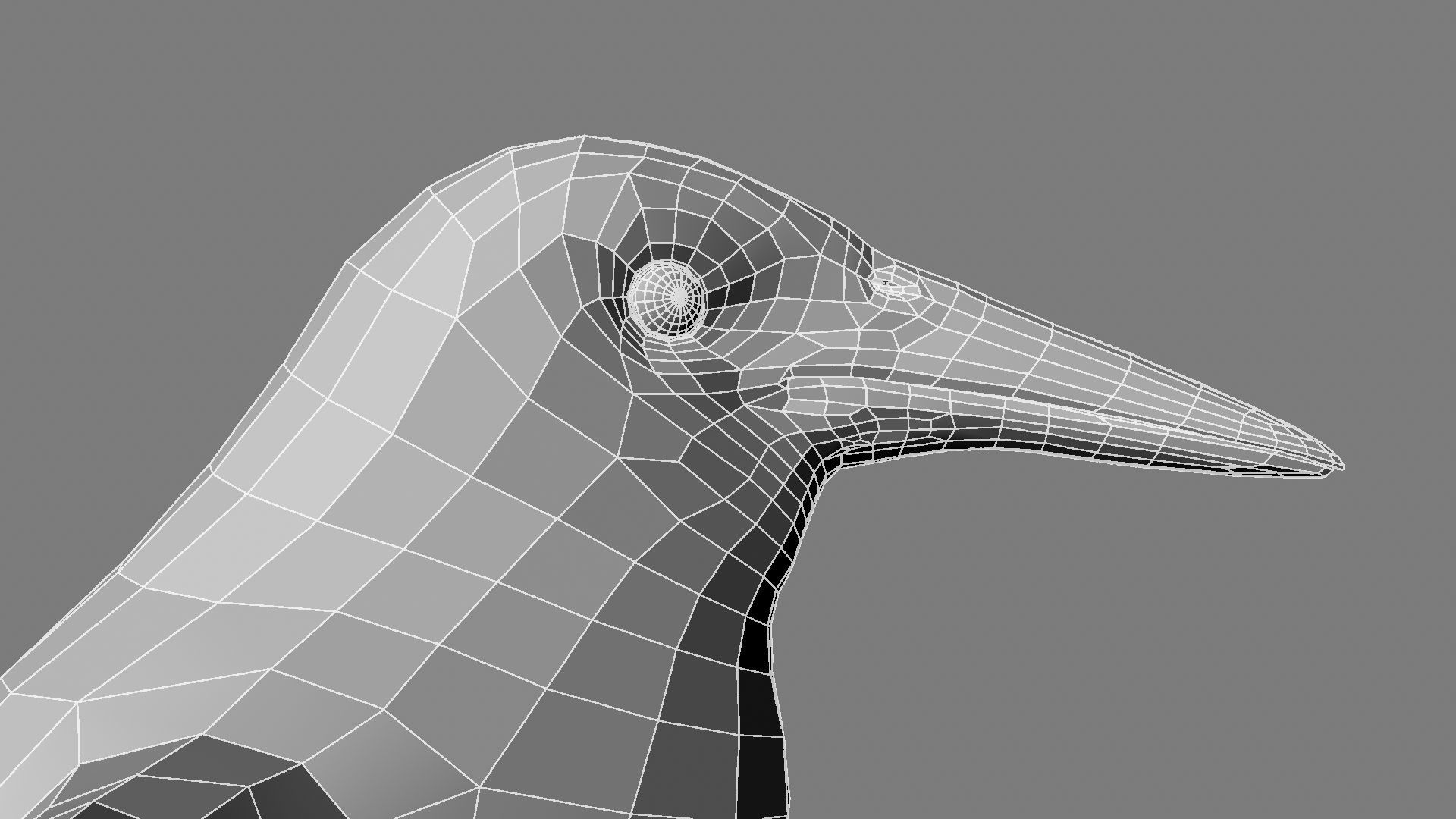 Sturnidae or Starling 3D model_32