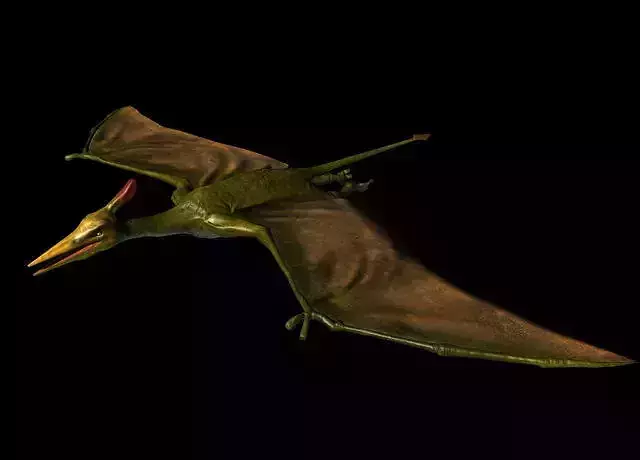 Pterodactyl Free low-poly 3D model