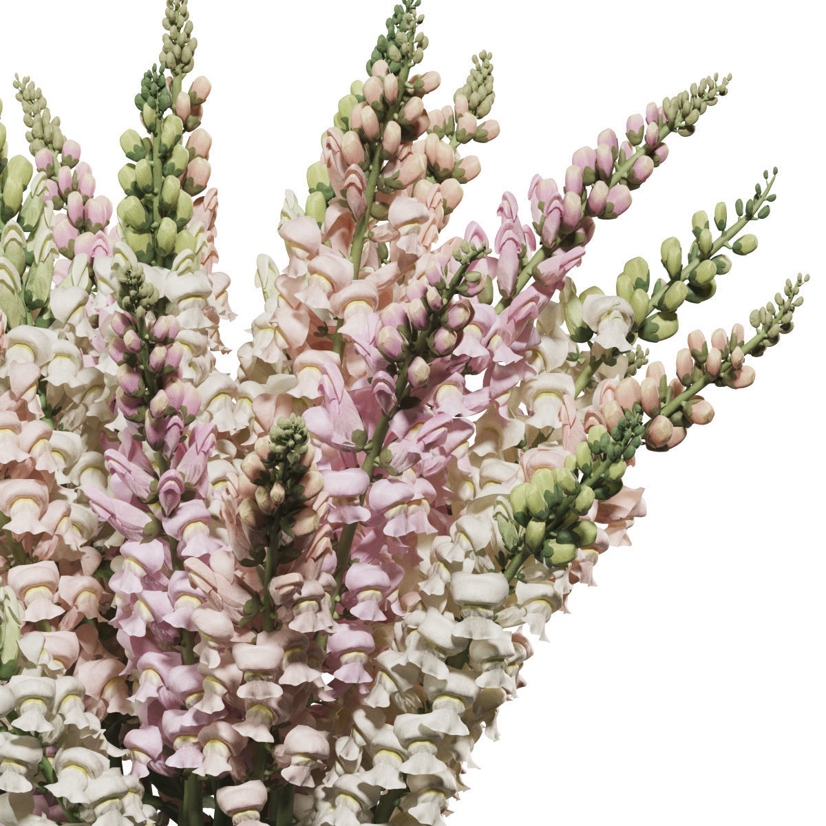 Flower In Vase   28 3D model_2