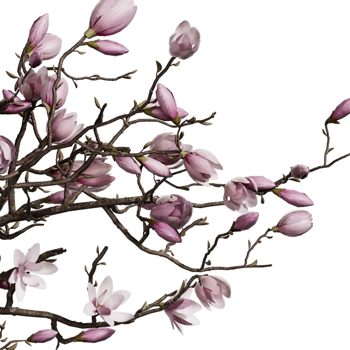 Flower In Vase  29 3D model_4