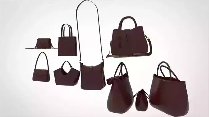 Collection of Ladies Hand Bags 3D model