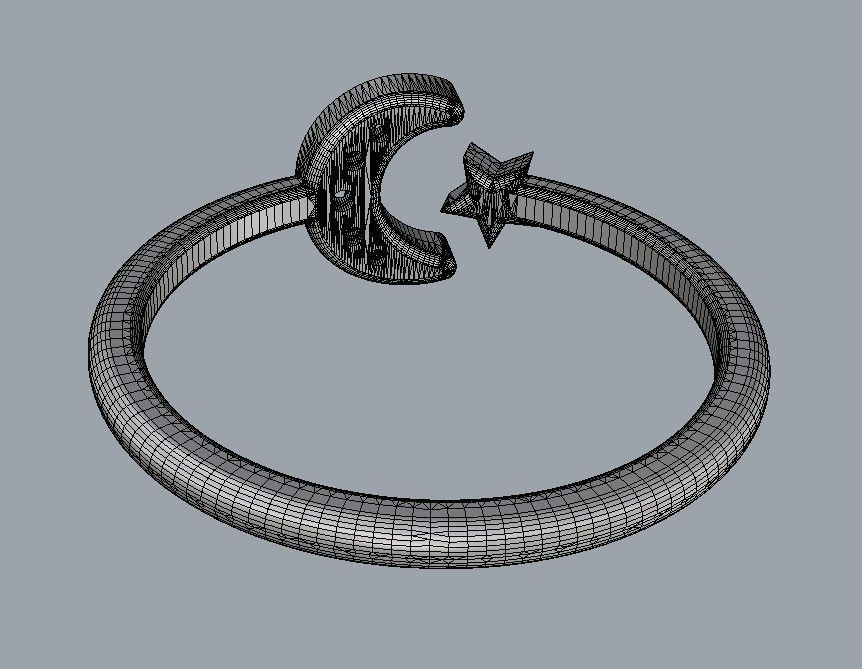 Moon and Star Ring 3D print model_16