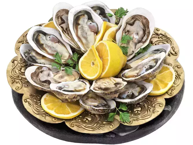 plate of seafood oysters 3D model