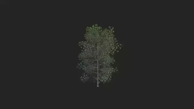 Tree 3D Model 011 Low-poly 3D model
