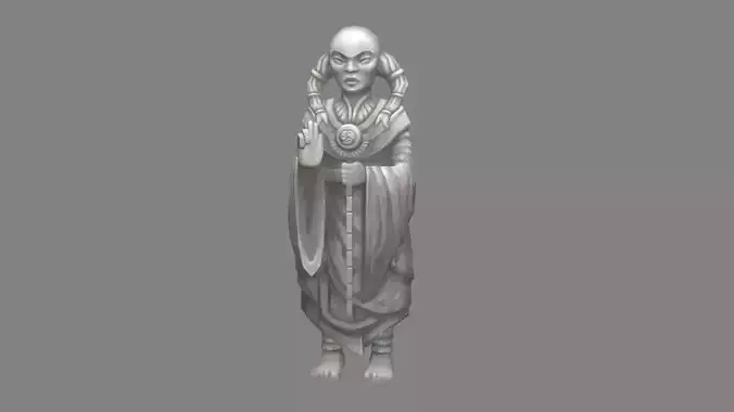 Man Standing Stone Statue - Ancient Priestly Sculpture