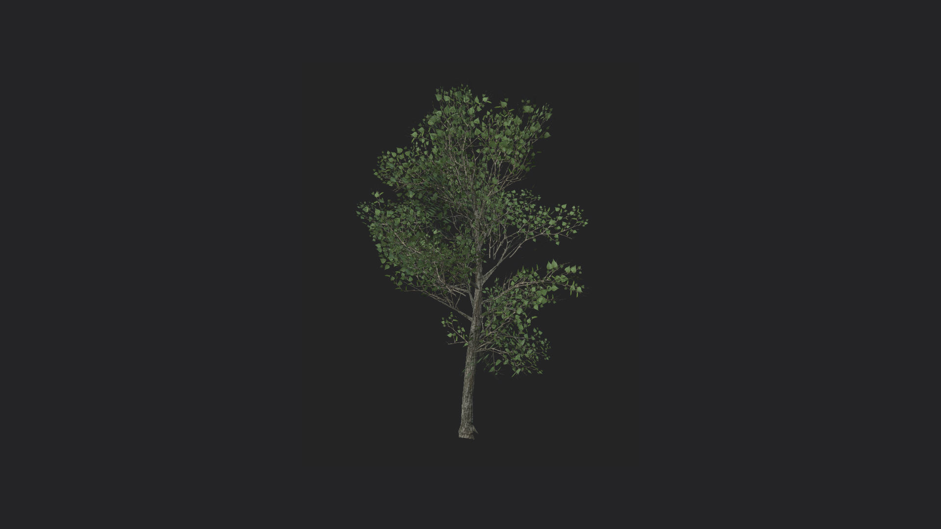 Tree 3D Model 013 Free low-poly 3D model_2