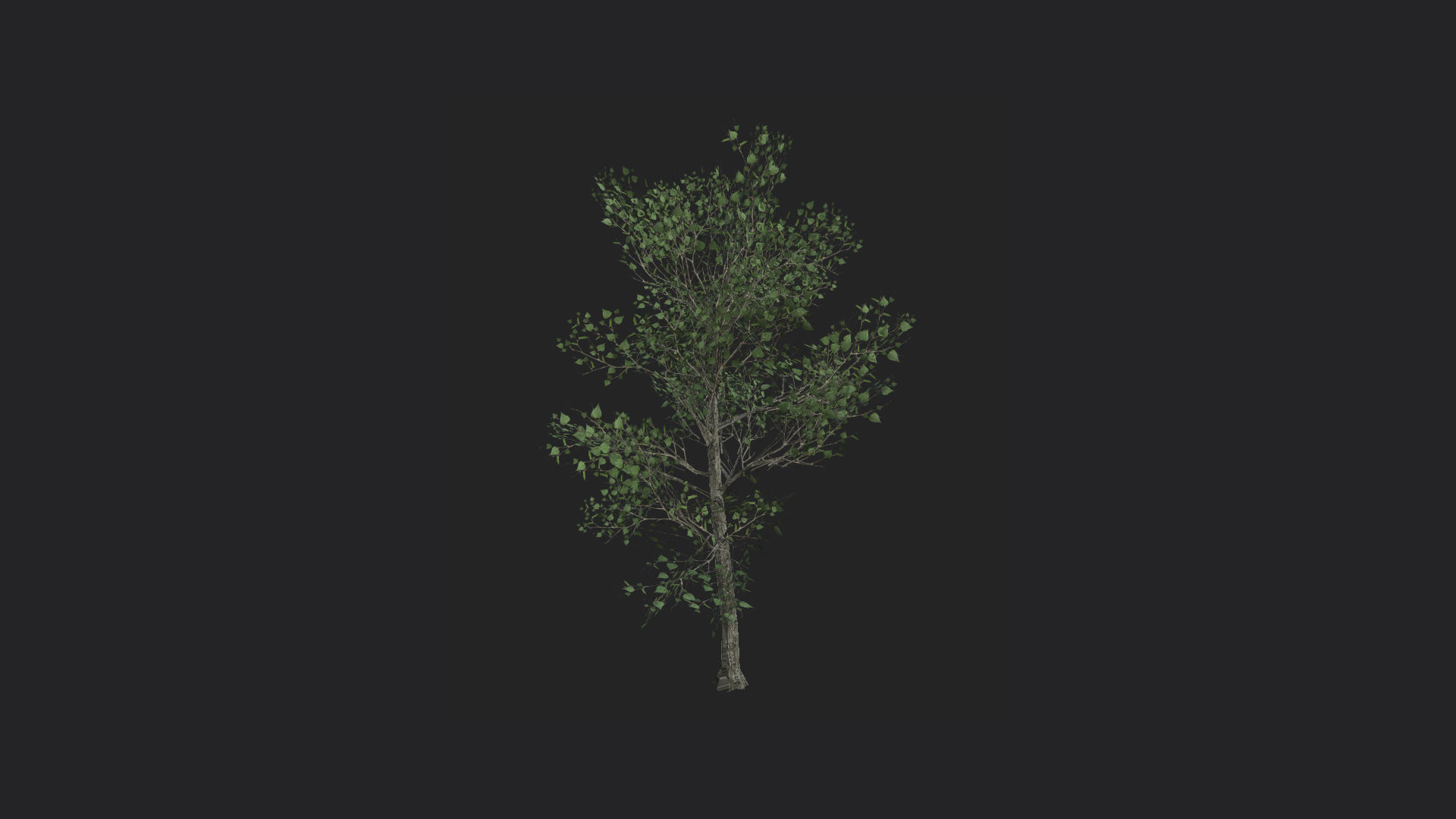 Tree 3D Model 013 Free low-poly 3D model_5
