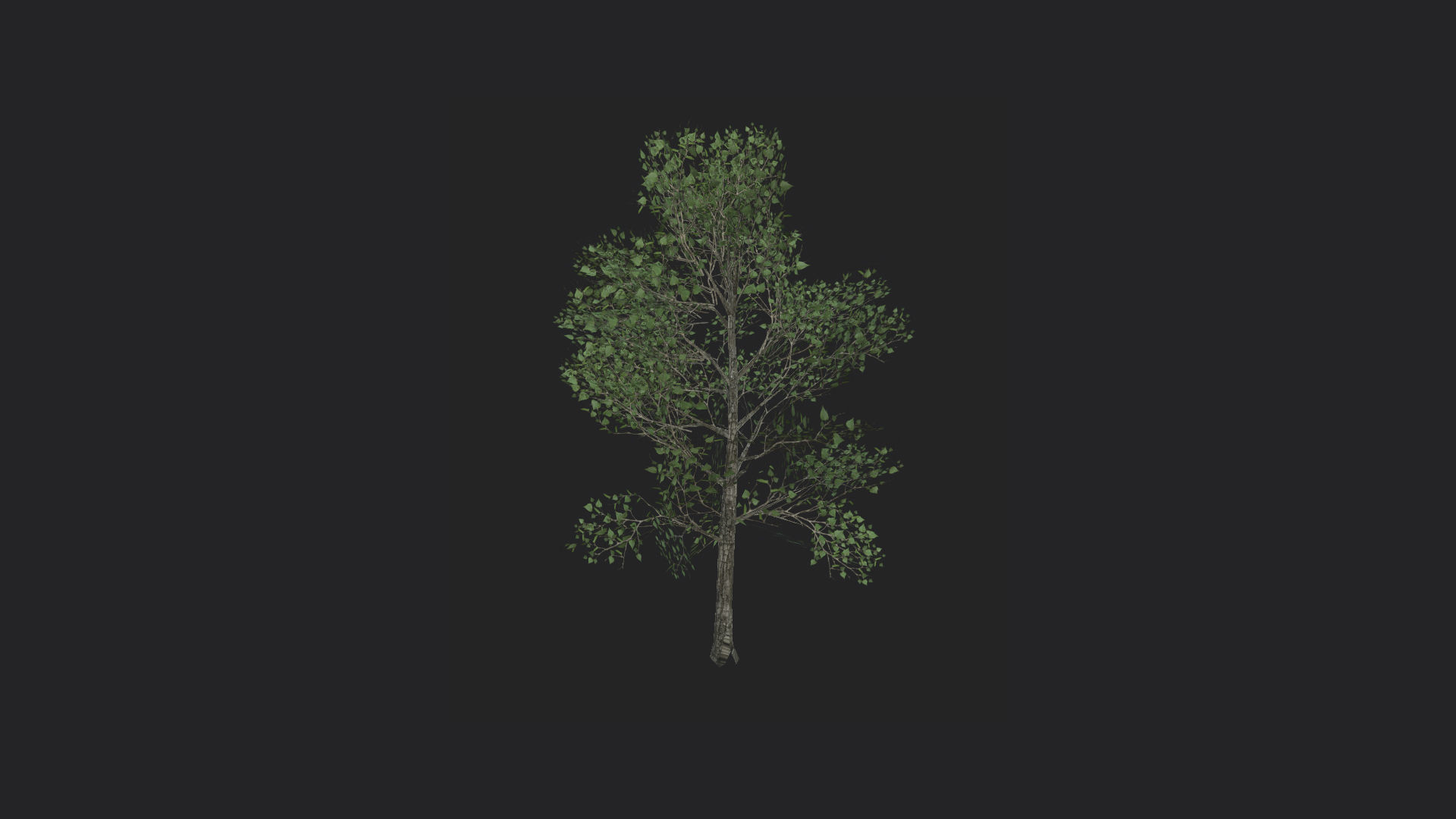 Tree 3D Model 013 Free low-poly 3D model_3