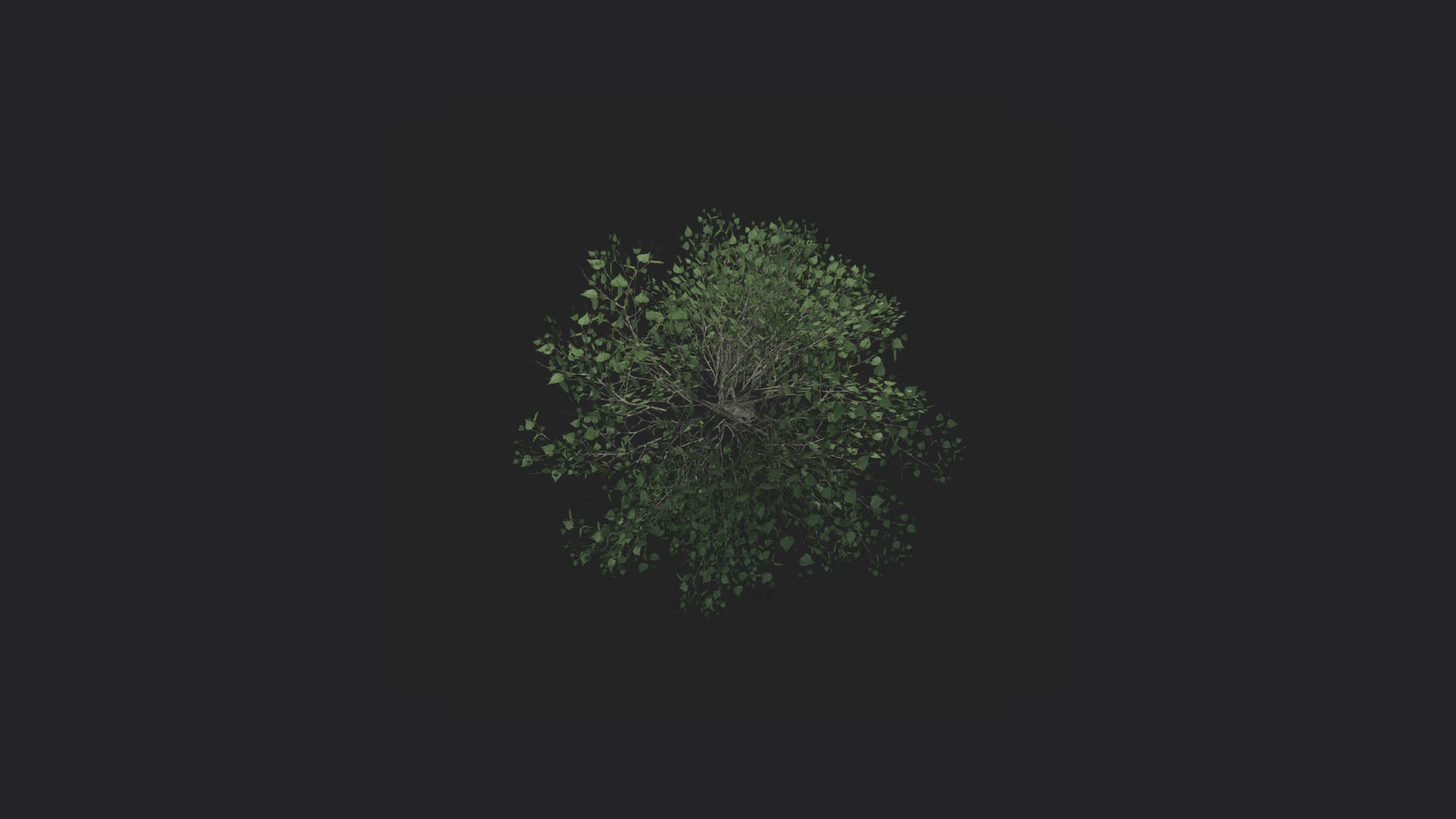 Tree 3D Model 013 Free low-poly 3D model_6