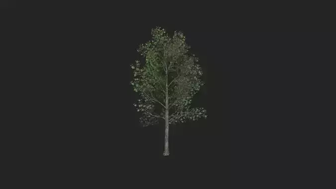 Tree 3D Model 013 Free low-poly 3D model
