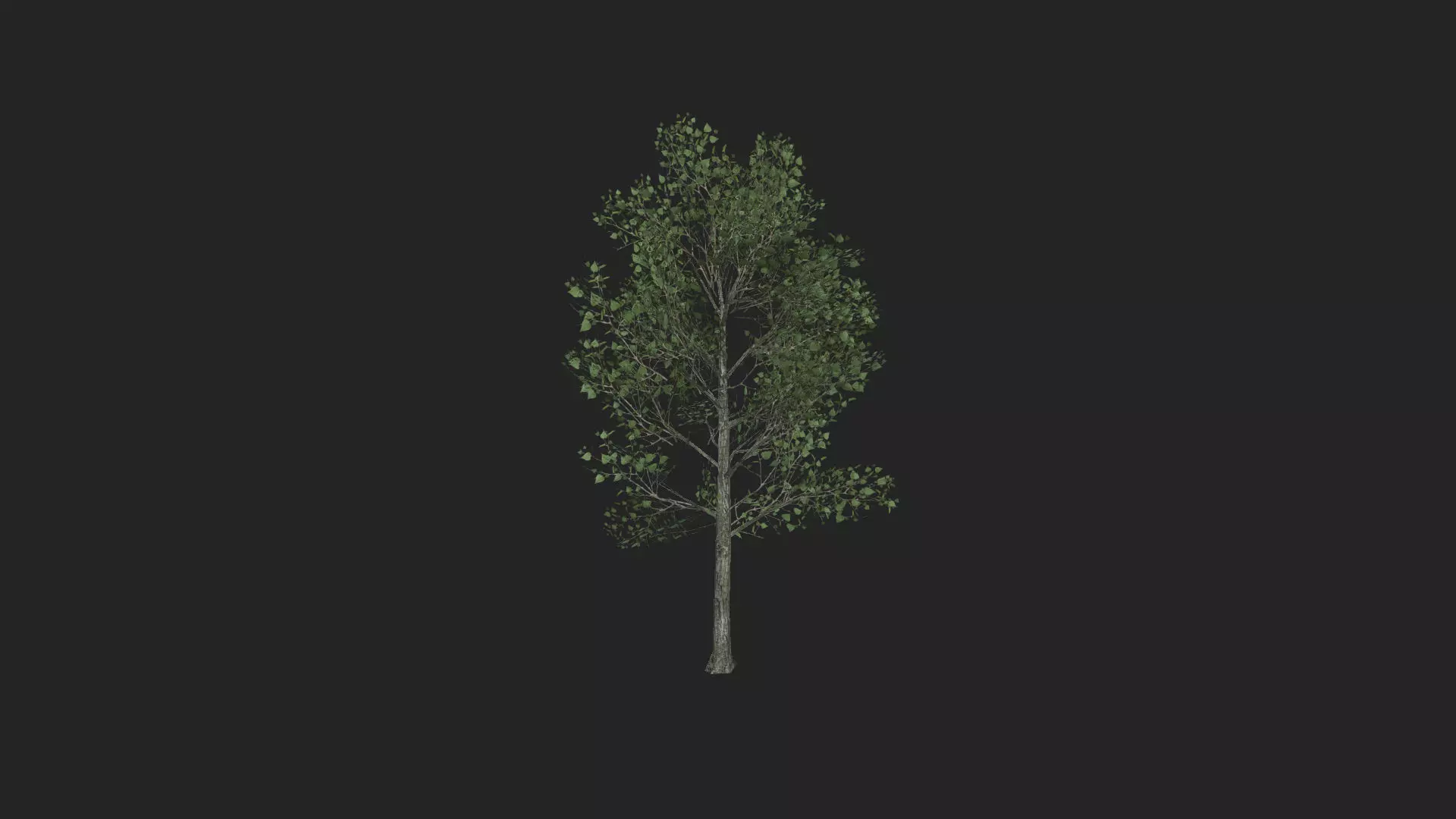 Tree 3D Model 013 Free low-poly 3D model_0