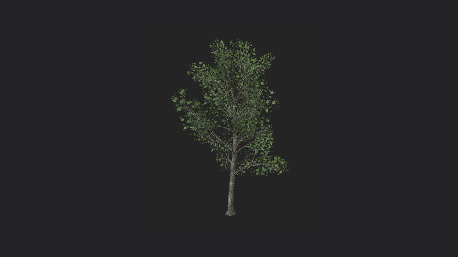 Tree 3D Model 013 Free low-poly 3D model_1