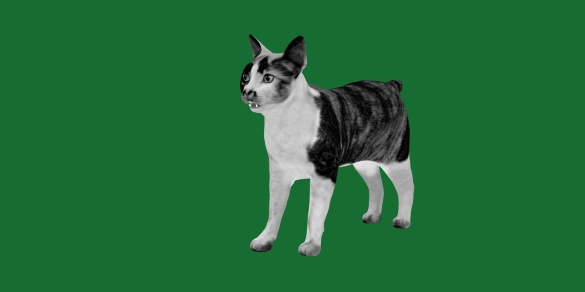 Japanese Bobtail Cat Low-poly 3D model_11