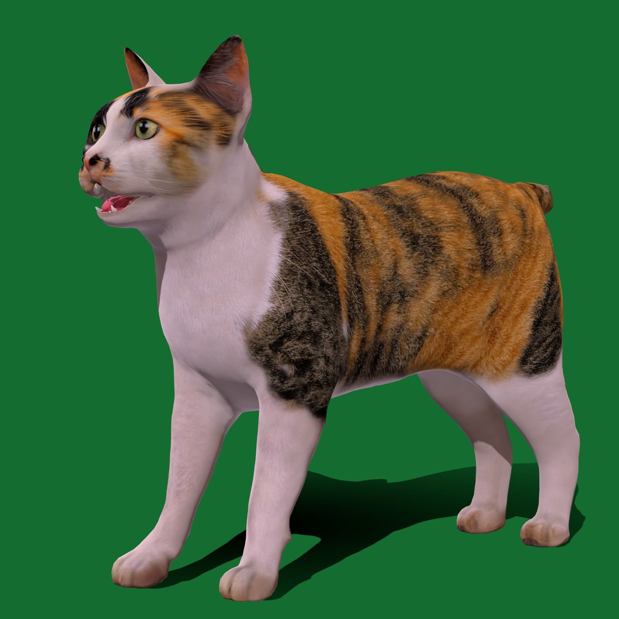 Japanese Bobtail Cat Low-poly 3D model_24