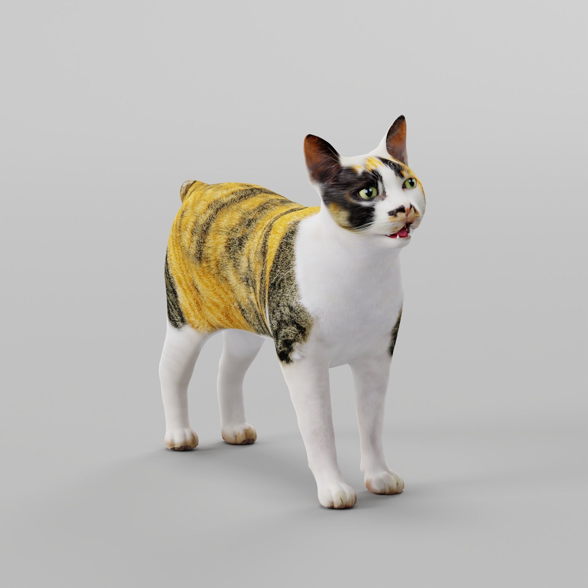 Japanese Bobtail Cat Low-poly 3D model_3