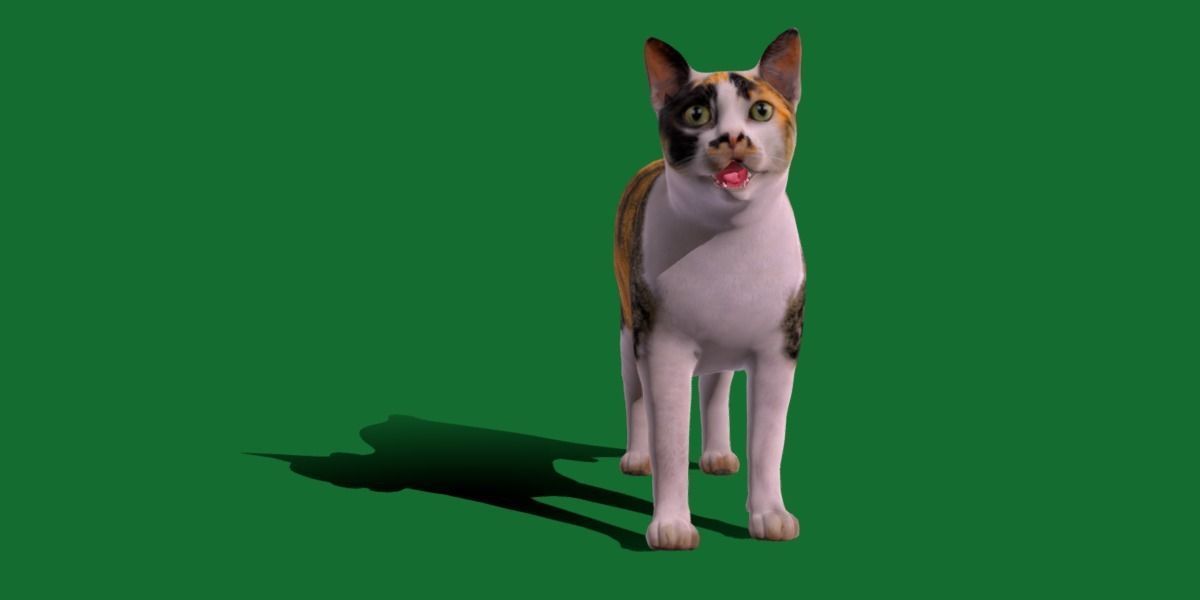 Japanese Bobtail Cat Low-poly 3D model_26