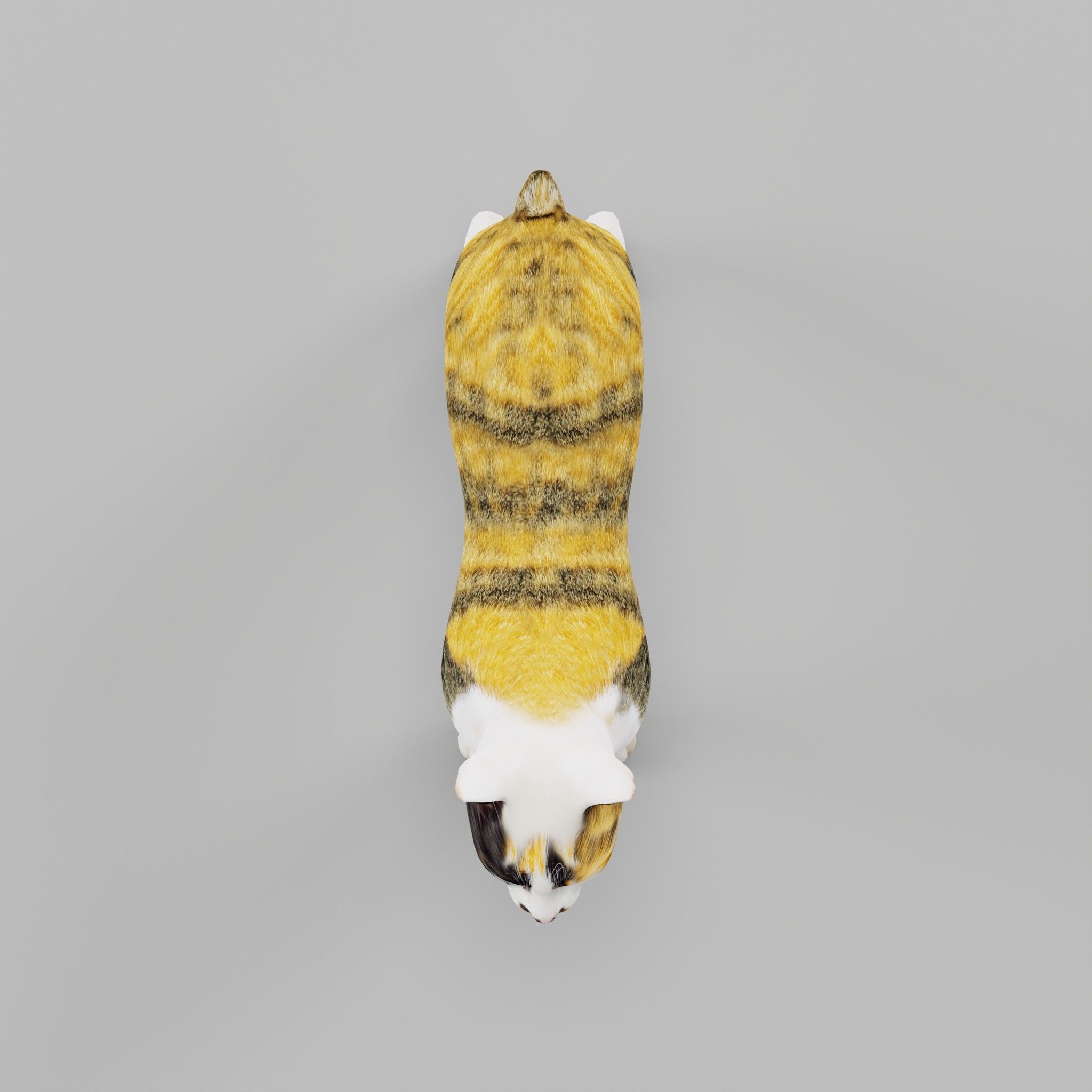 Japanese Bobtail Cat Low-poly 3D model_7