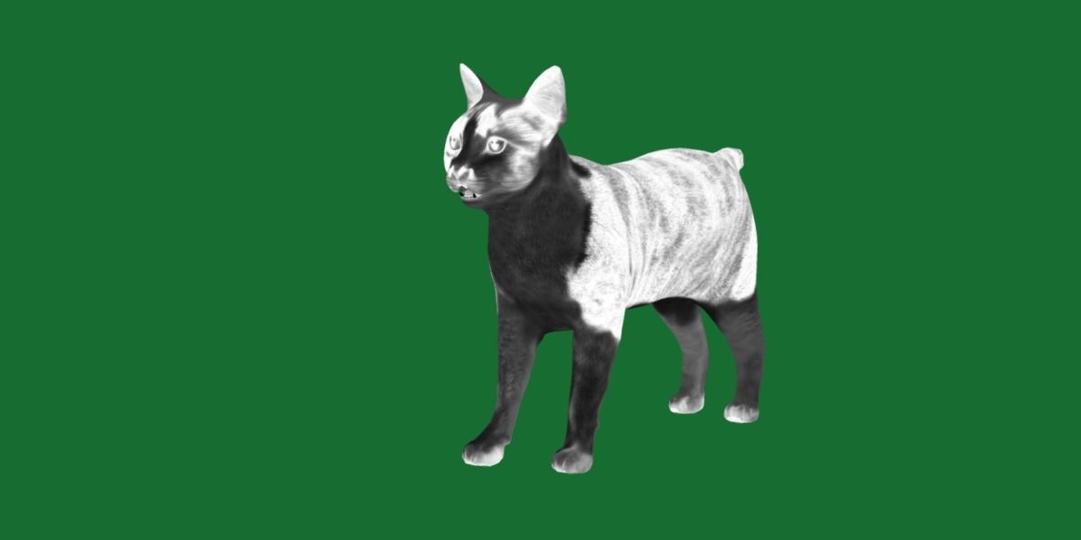 Japanese Bobtail Cat Low-poly 3D model_32