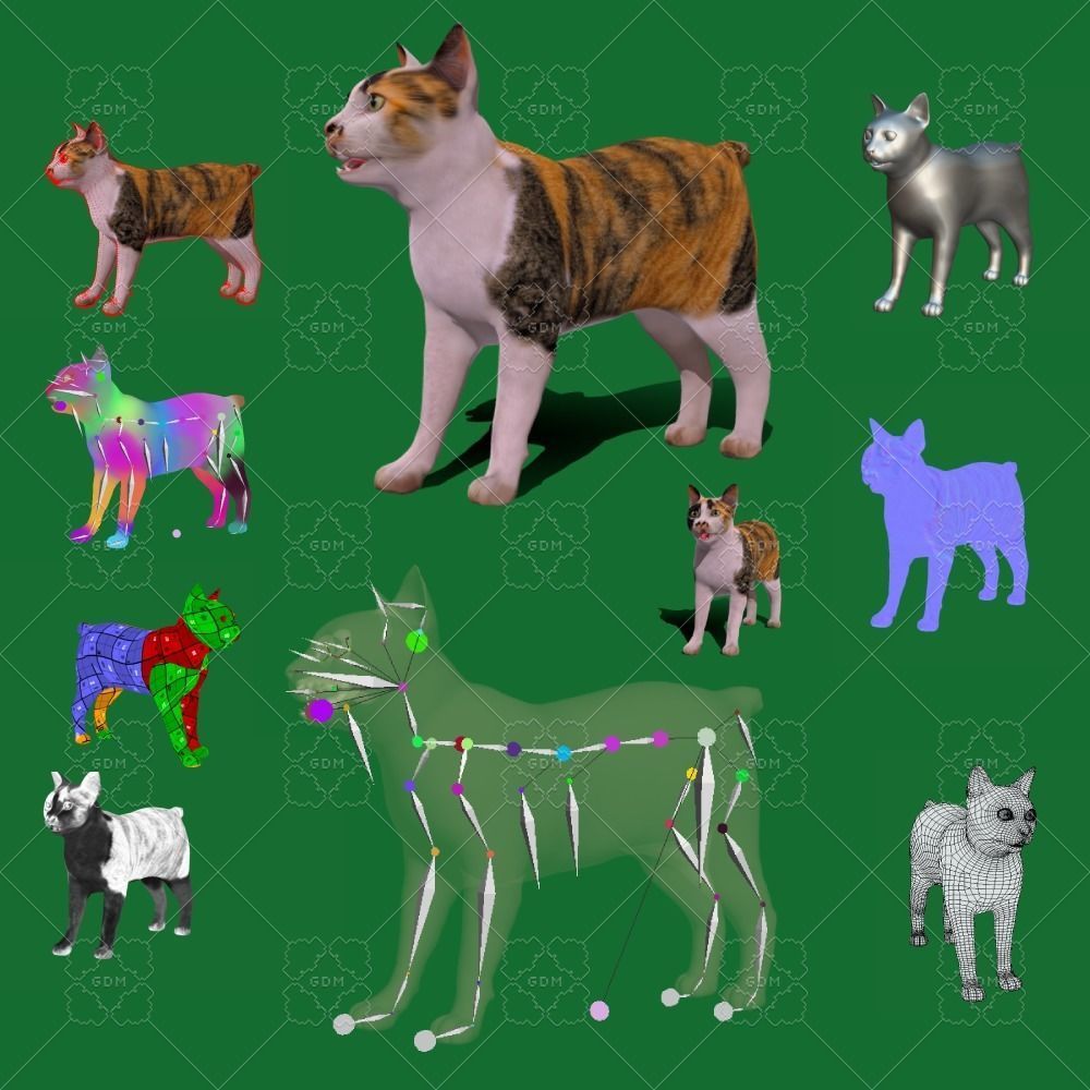 Japanese Bobtail Cat Low-poly 3D model_2