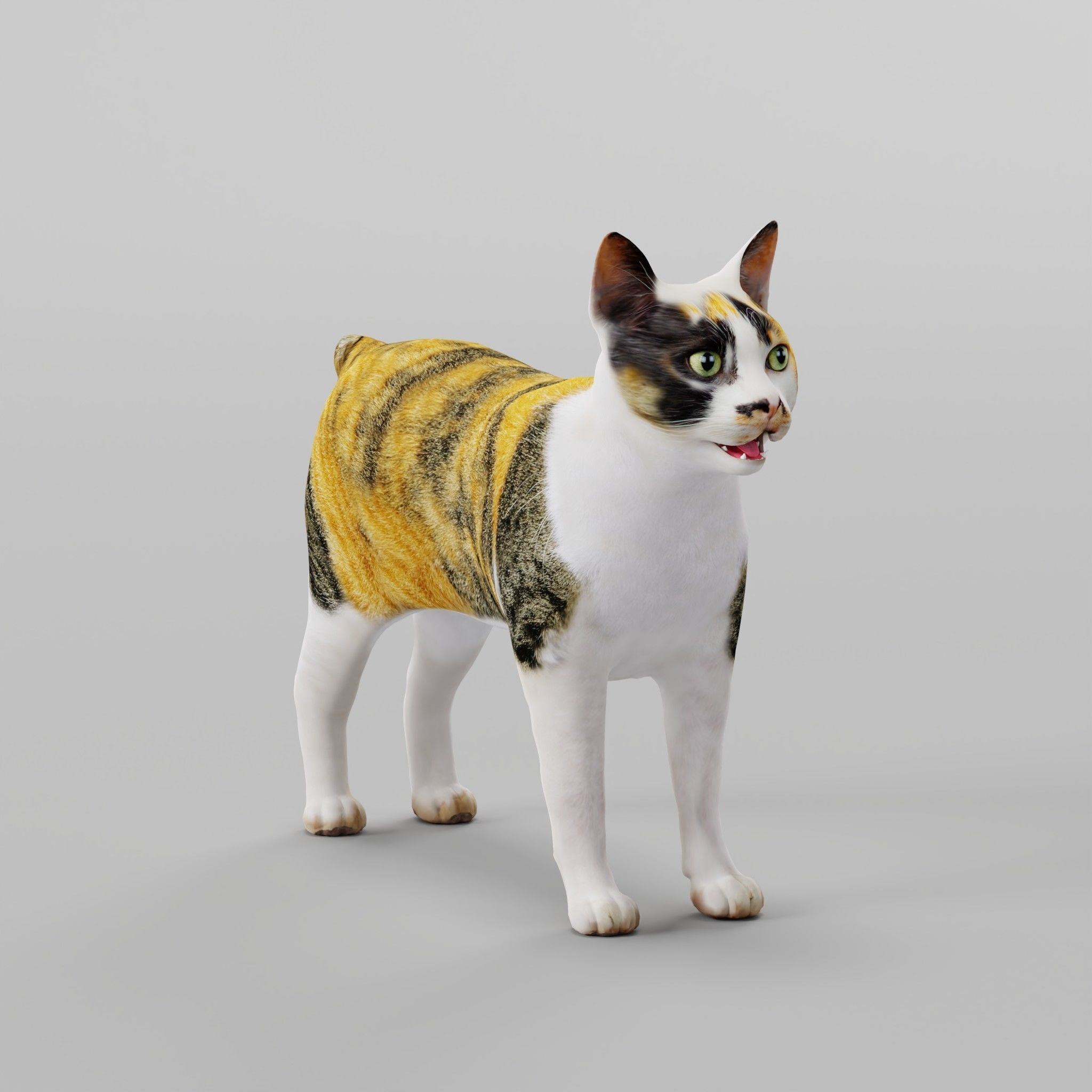 Japanese Bobtail Cat Low-poly 3D model_5