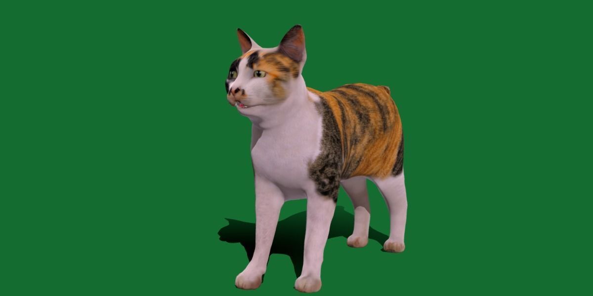 Japanese Bobtail Cat Low-poly 3D model_20