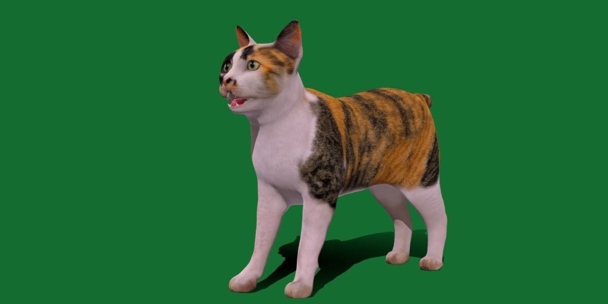 Japanese Bobtail Cat Low-poly 3D model_23