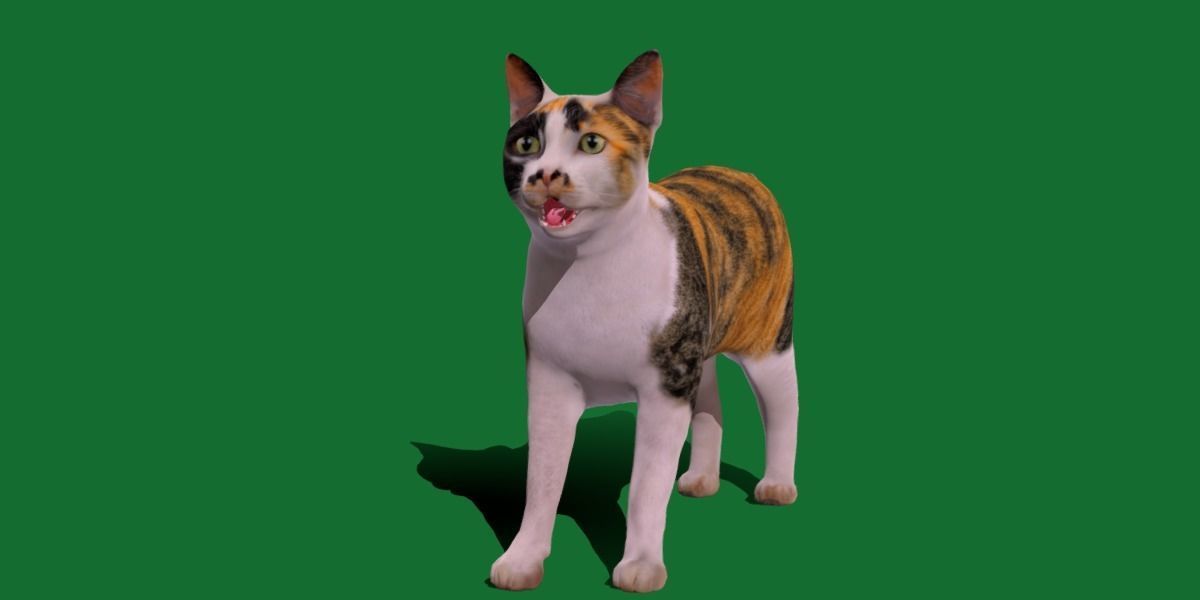 Japanese Bobtail Cat Low-poly 3D model_22
