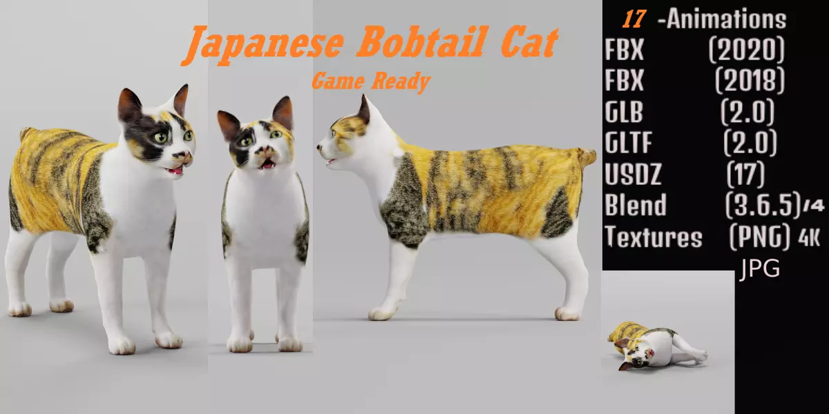 Japanese Bobtail Cat Low-poly 3D model_0