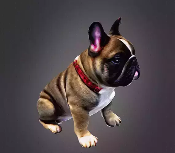 French bulldog 3D print model